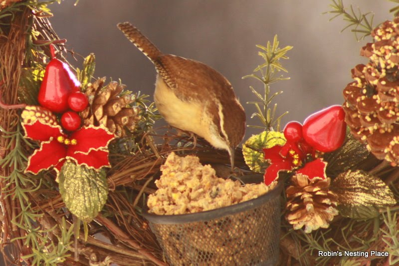 ROBINS NESTING PLACE Winter Bird Food Wreaths